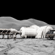 Illustration for article titled America Is Already Planning to Regulate Business on the Moon